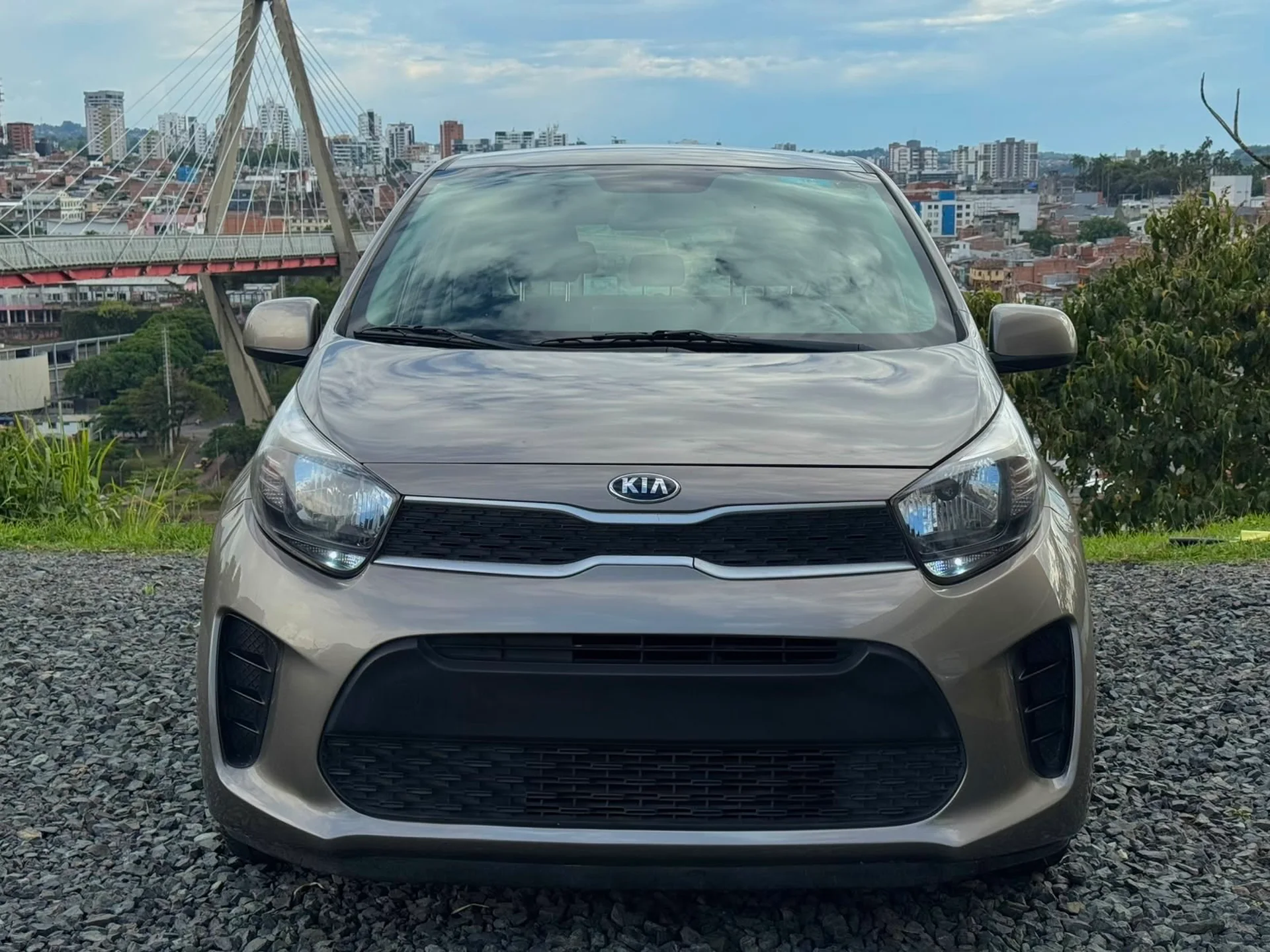 Kia New Picanto / Vibrant 2020