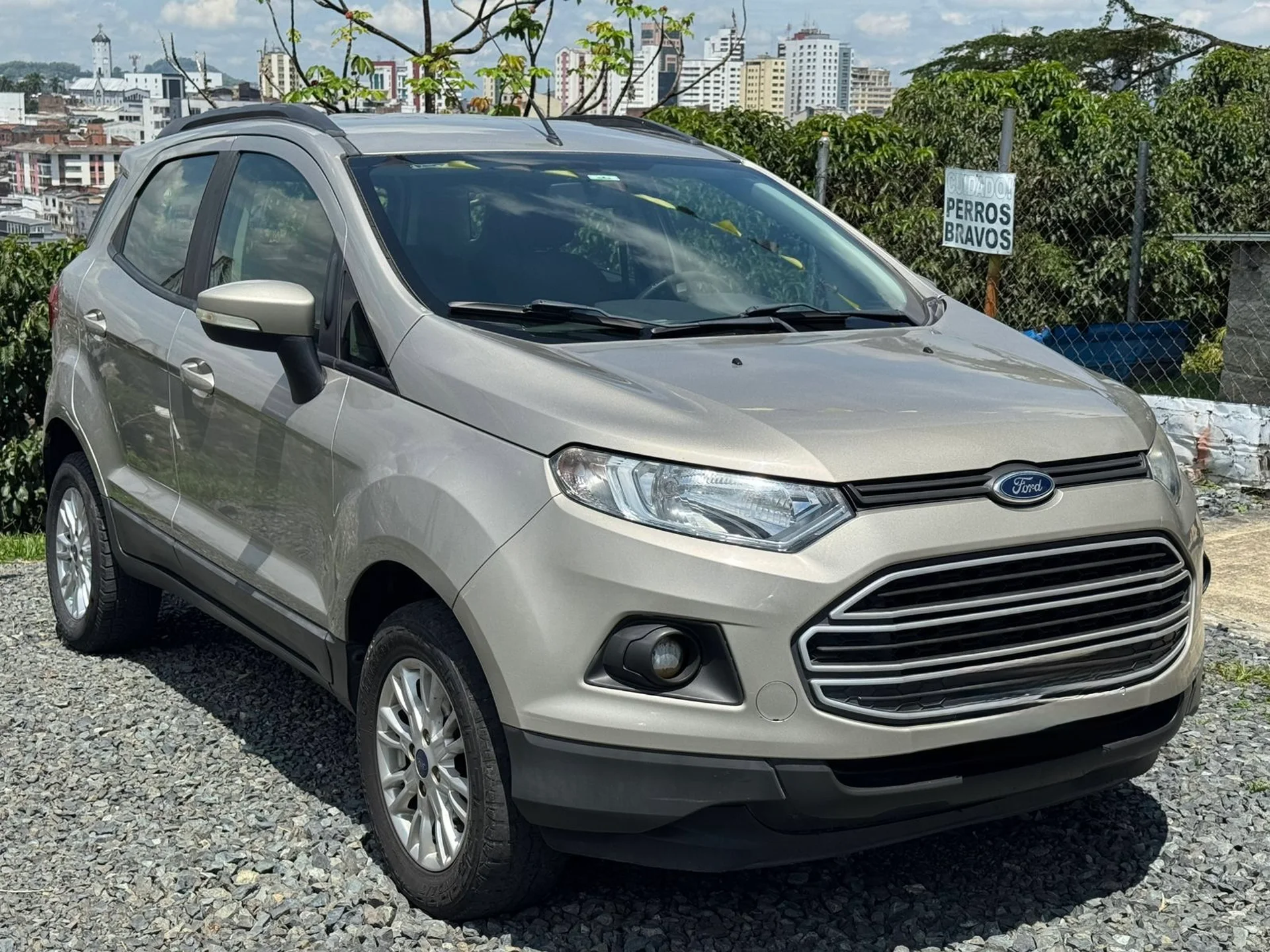 Ford EcoSport / SE 2016
