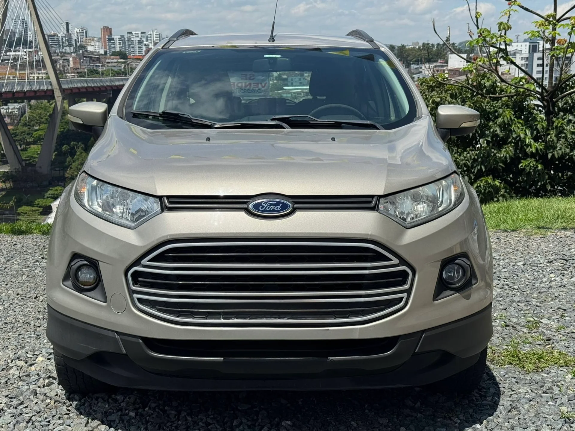 Ford EcoSport / SE 2016