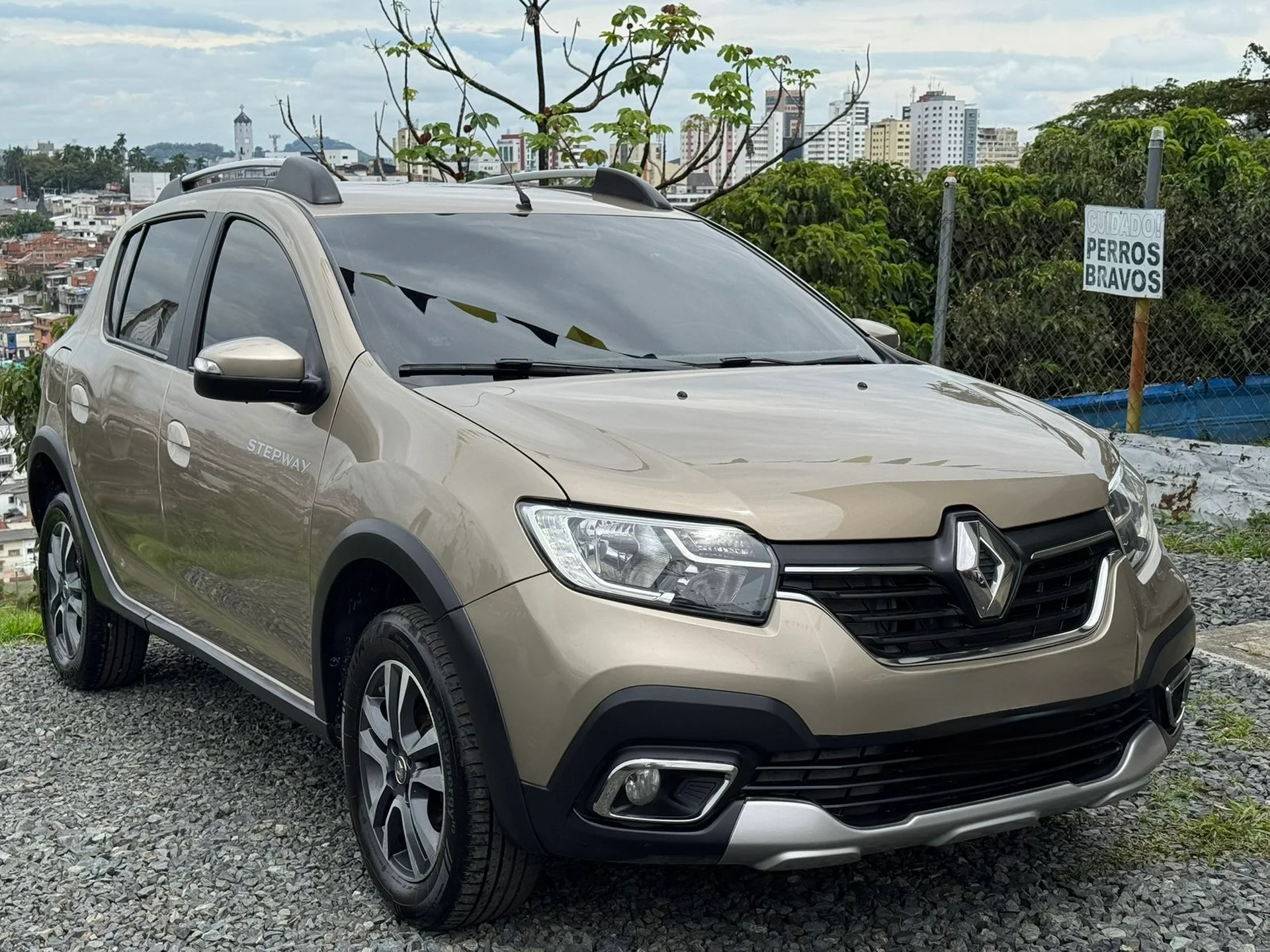 Renault Stepway / Intens 2022