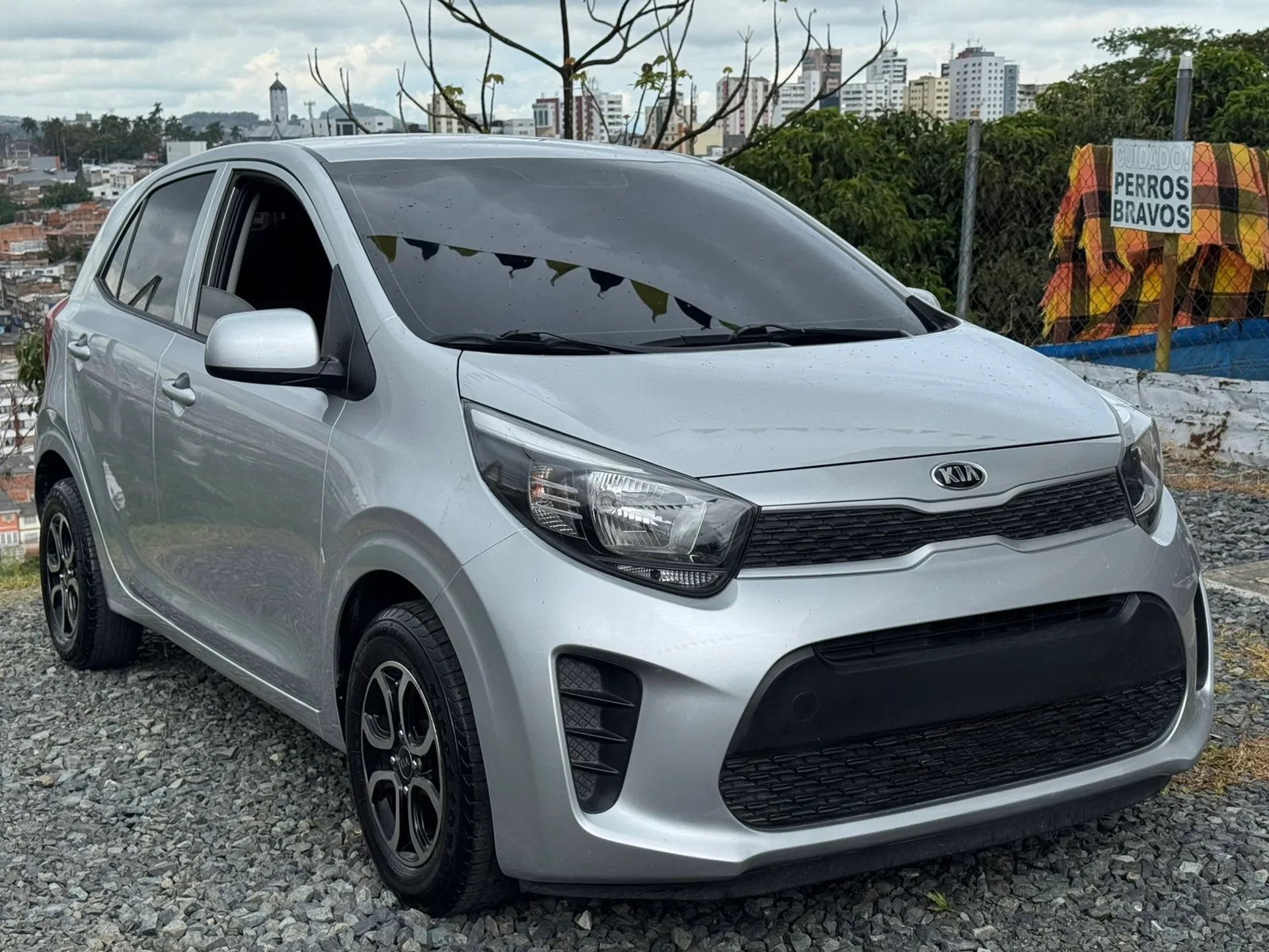 Kia Picanto / Vibrant 2022