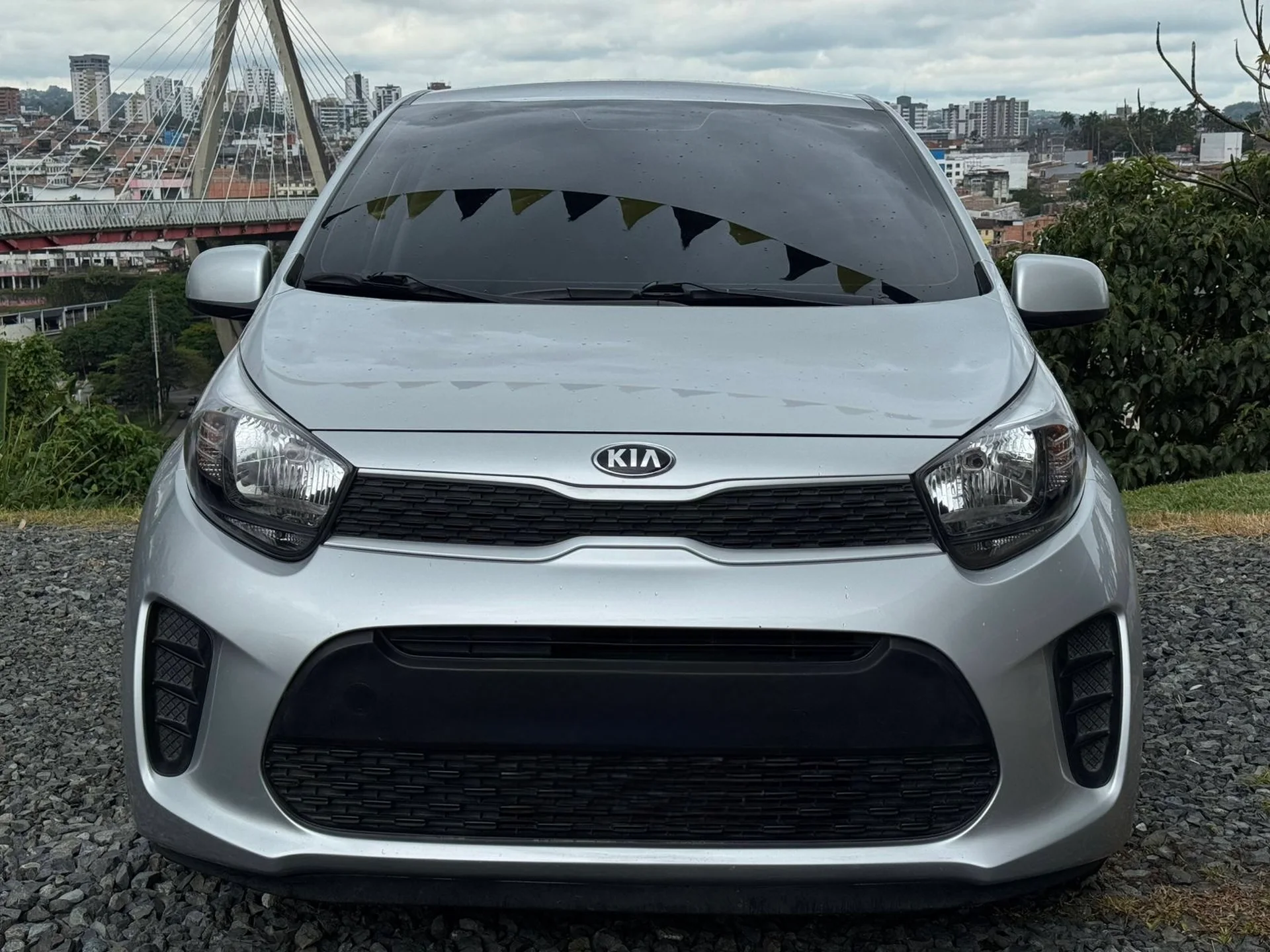 Kia Picanto / Vibrant 2022