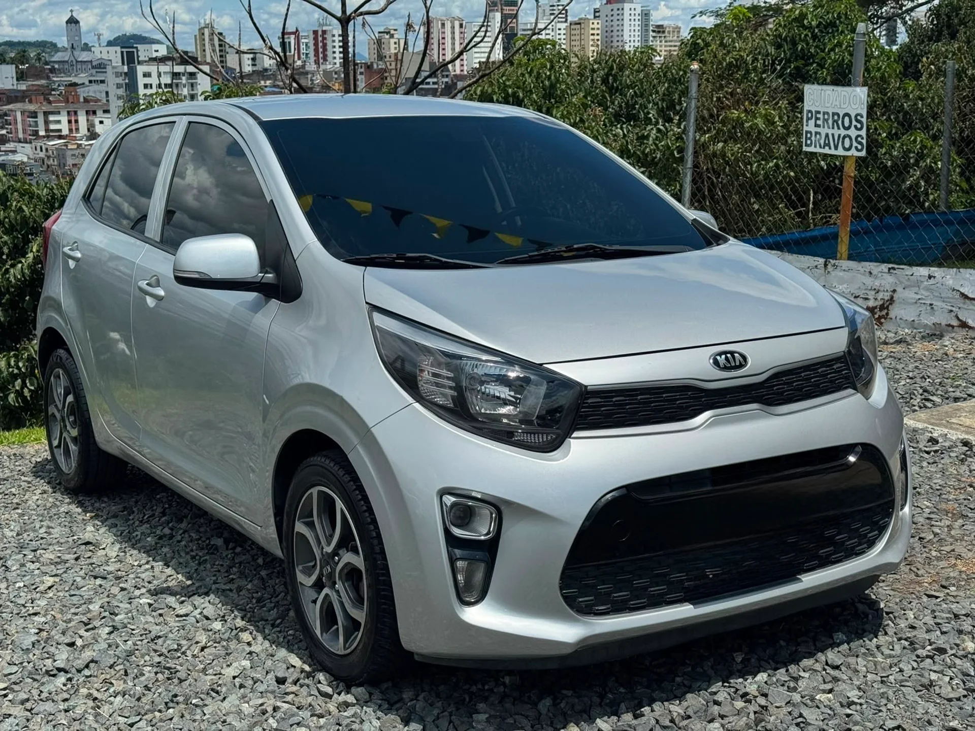Kia Picanto / Zenith 2019